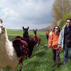 Llamera
