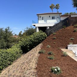 Down slope with newly planted ice plant. Down slope with newly planted ice plant.