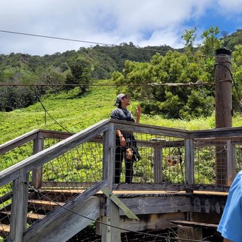 Shaka Zipline - Ziplining Near Me - Koloa, Hawaii Shaka Zipline - Ziplining Near Me - Koloa, Hawaii