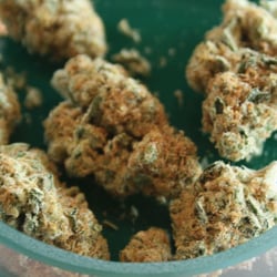 The Dispensary - Dillon - Grown in Breckenridge at 9600ft!