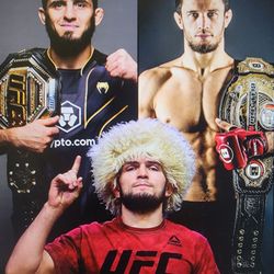AMERICAN KICKBOXING ACADEMY 