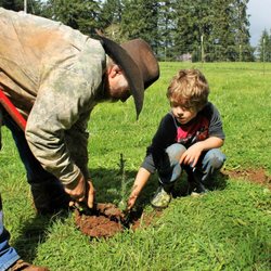 Colley Tree Farm
