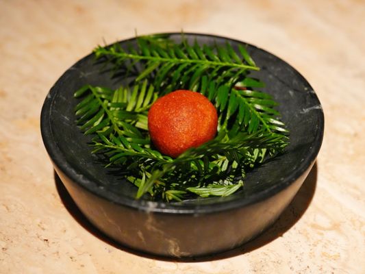 Ritual at Manresa by null