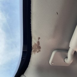 Blood all over headliner Blood all over headliner