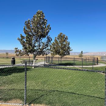 Orv's Farm Market - Two, off-leash and fenced dog areas - Fruits & Veggies Near Me - Williams, California Orv's Farm Market - Two, off-leash and fenced dog areas - Fruits & Veggies Near Me - Williams, California