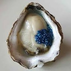 Seafood Store