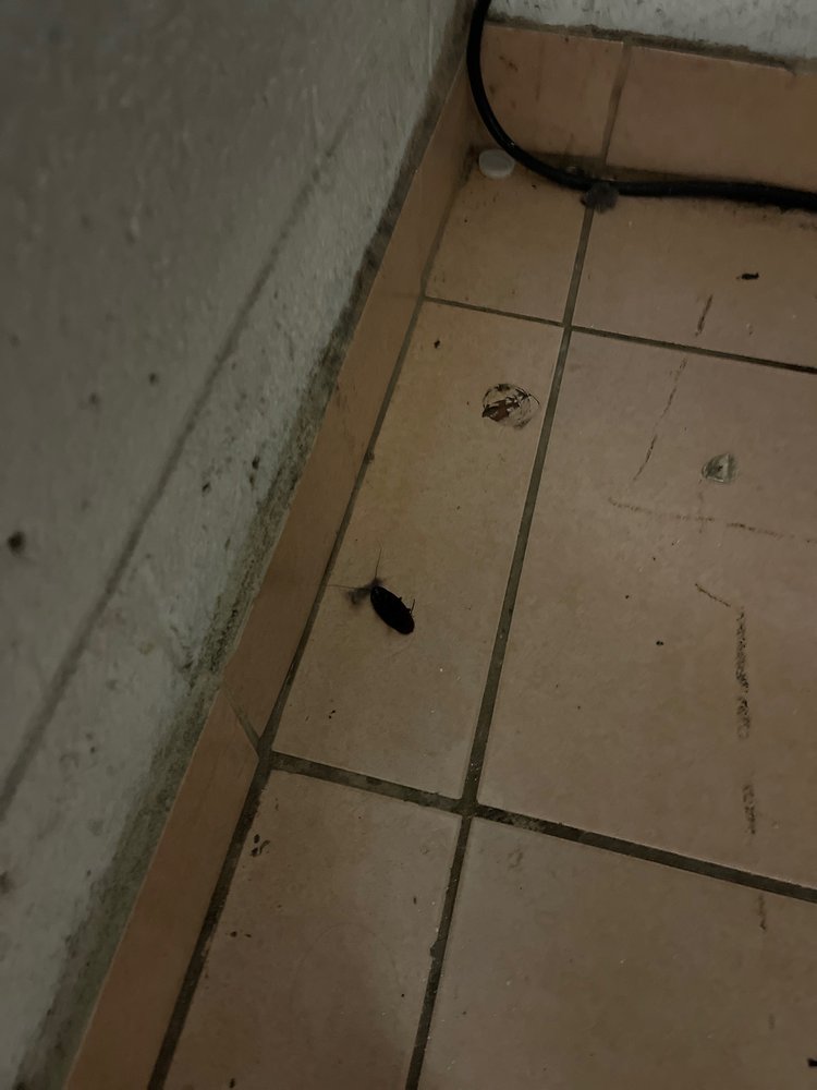 Garner Road Community Center - social services organization in Raleigh, NC