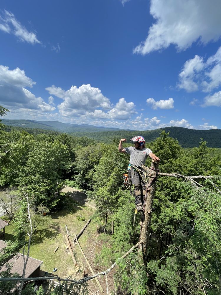 Wolfe Contracting - tree service in Waterbury Center, VT