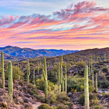 Phoenix Heart - Cardiologists Near Me - Anthem, Arizona Phoenix Heart - Cardiologists Near Me - Anthem, Arizona