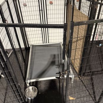 Devotion To Dogs - Pet Training Near Me - El Cajon, California Devotion To Dogs - Pet Training Near Me - El Cajon, California