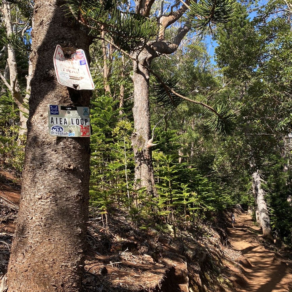 Aiea Loop Trail - Aiea Loop Trail signage - Hiking Near Me - Aiea, Hawaii