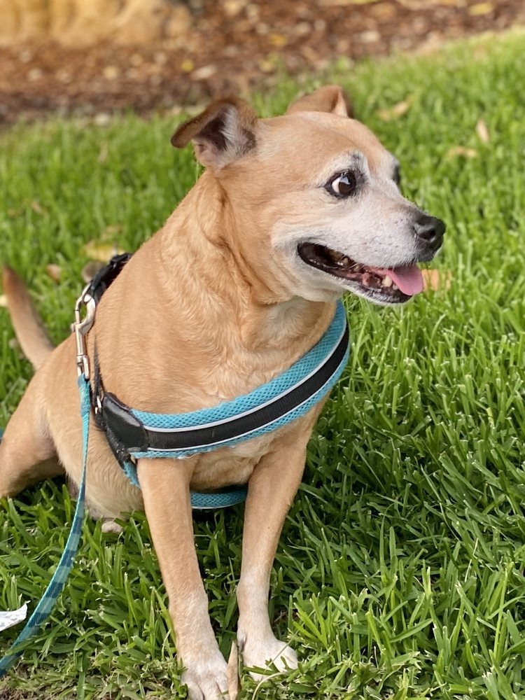 UNLEASHED Updated June 2024 40 Photos & 82 Reviews 614 West