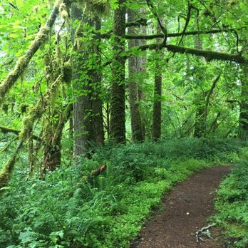 Fishermans Bend - Campgrounds Near Me - Mill City, Oregon