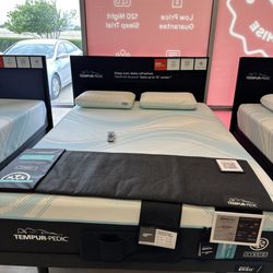 Mattress Firm North Central Expressway - Mattress
