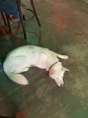 Maison Healdsburg by null