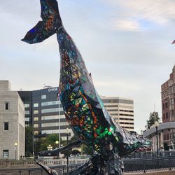 City Hall Plaza