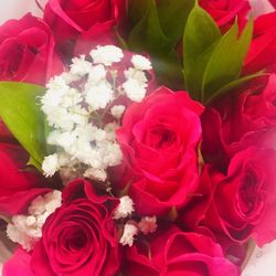 Publix - Forget roses...where's the Rosé at?