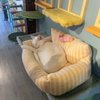 Cat Cafe Meows Rakuen gift card