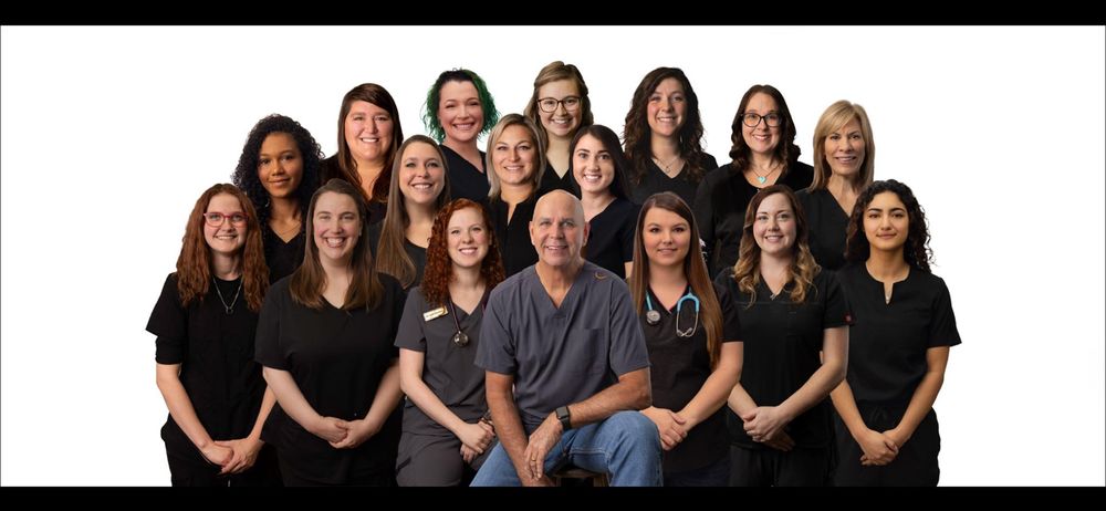Divine Veterinary Clinic - pet boarding facility in Ozark, MO