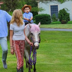 Valley View Riding Stables