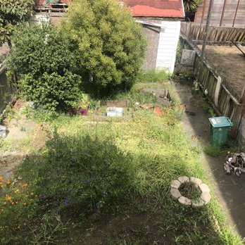 Landscape Services - Before - Landscaping Near Me