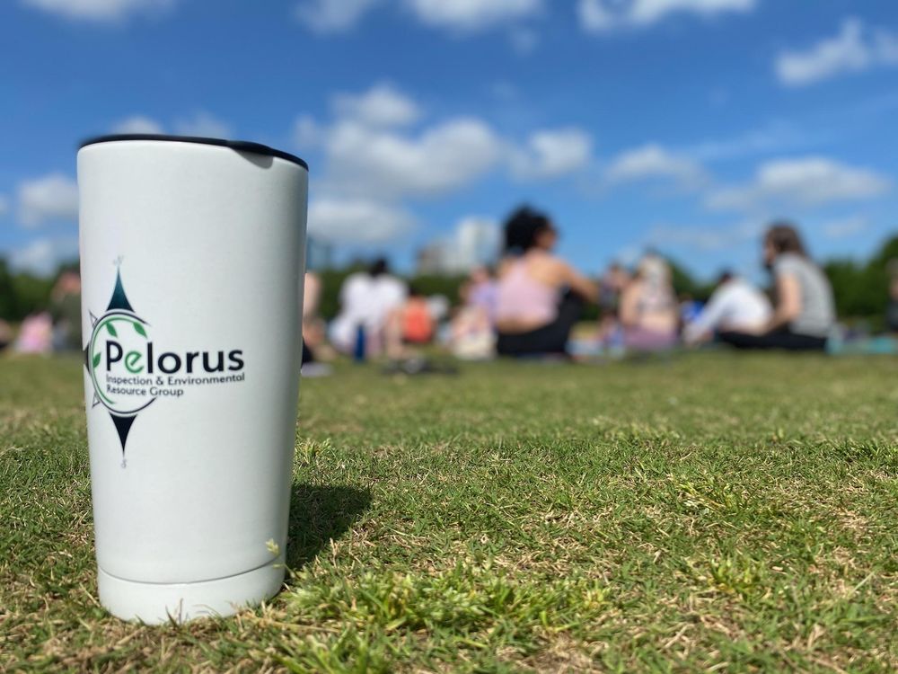 Pelorus Inspection & Environmental Resource Group - mold inspector in Atlanta, GA