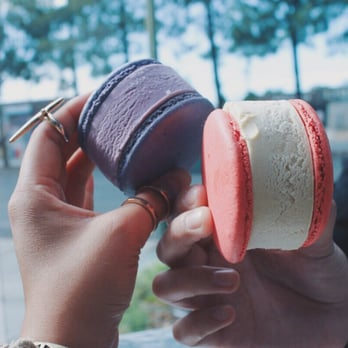 Van's Bakery - Left is taro and right is maple - Bakeries Near Me - San Jose, California Van's Bakery - Left is taro and right is maple - Bakeries Near Me - San Jose, California
