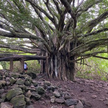 Pipiwai Trail - Hiking Near Me - Hana,, Hawaii