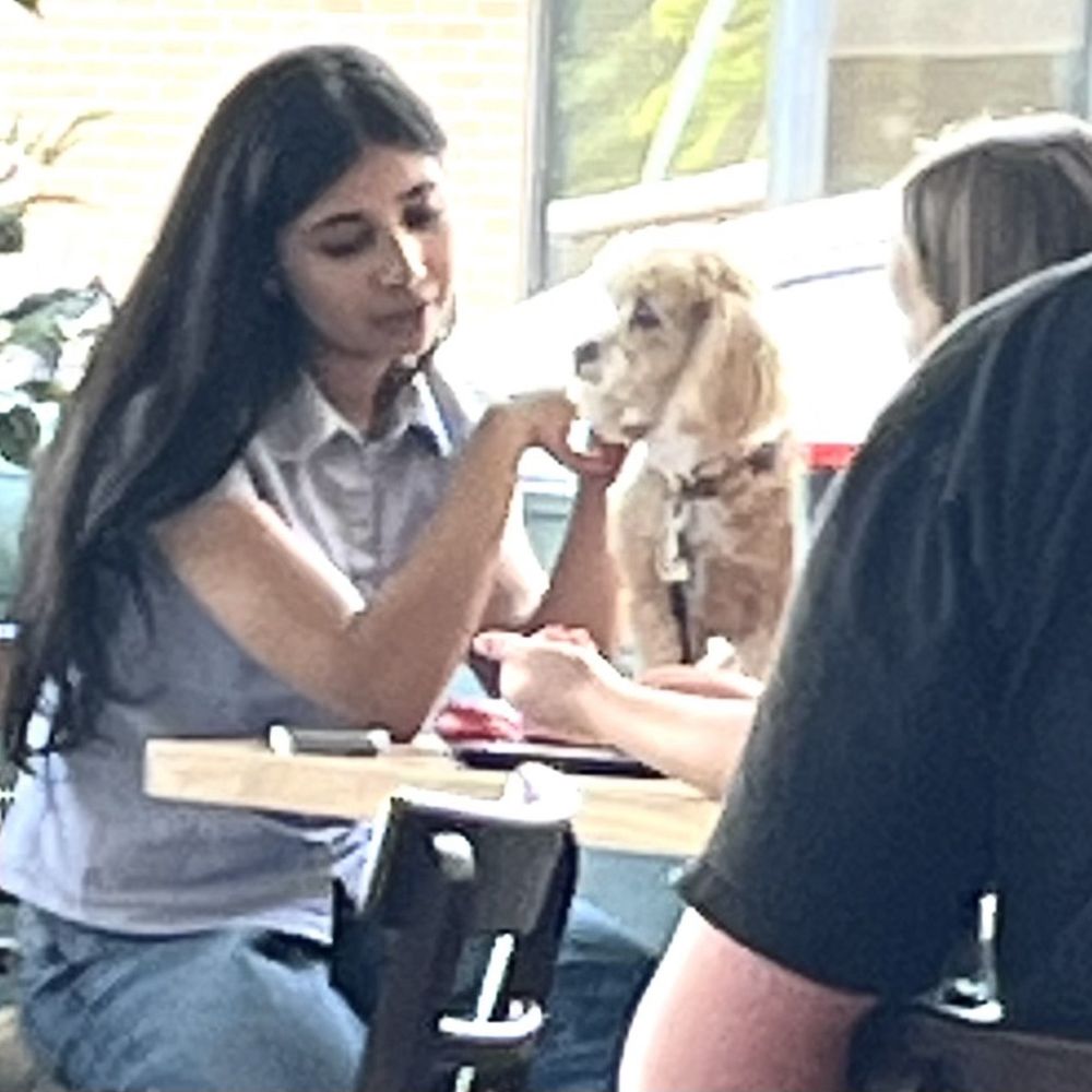 Java Owl Coffee House - Dog on top of table. - Coffee & Tea Near Me - Nassau Bay, Texas