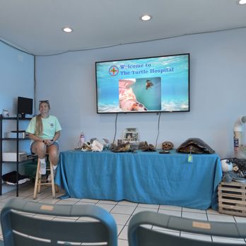 The Turtle Hospital - The beginning of the tour starts with a very informative video and presentation - Veterinarians Near Me - Marathon, Florida The Turtle Hospital - The beginning of the tour starts with a very informative video and presentation - Veterinarians Near Me - Marathon, Florida