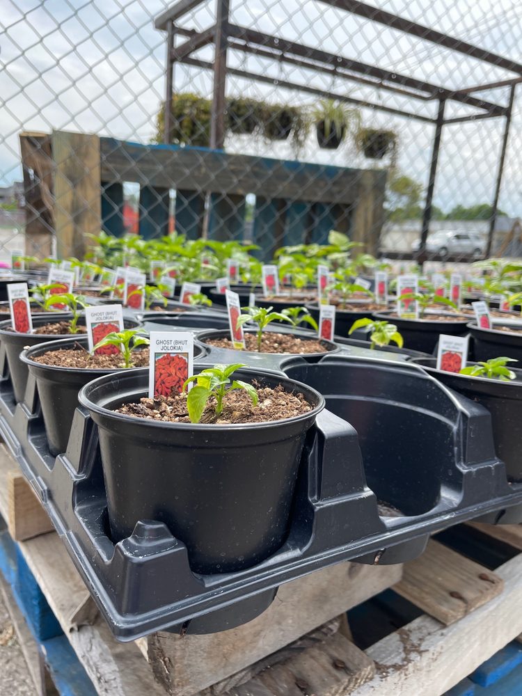 Jigg's Produce Market Logo