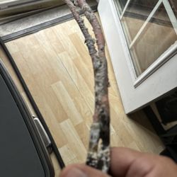 Tommy Malozi Jr Sewer Drain and Plumbing - Burned out Elements in Water Heater. Allentown Pa.