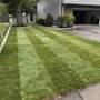 Photo of Dave’s Landscaping & Masonry