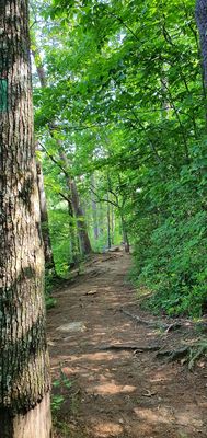 Paris Mountain State Park by null