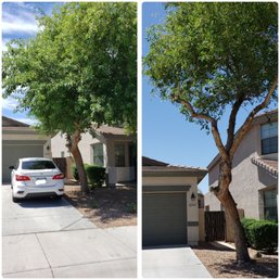 Tree trimmed (: Tree trimmed (: