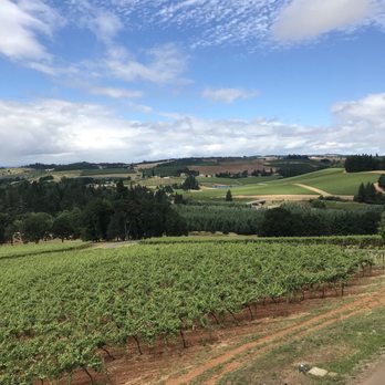Willamette Valley Vineyards - Wineries Near Me - Turner, Oregon Willamette Valley Vineyards - Wineries Near Me - Turner, Oregon