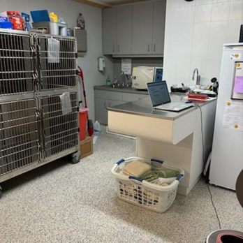 Stand Up For Animals Wellness Clinic - Exam treatment room - Veterinarians Near Me - Westerly, Rhode Island Stand Up For Animals Wellness Clinic - Exam treatment room - Veterinarians Near Me - Westerly, Rhode Island