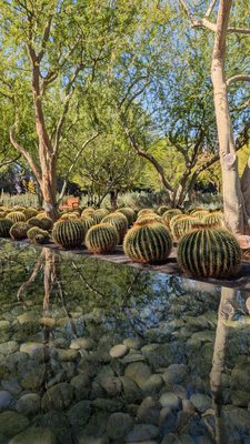 Sunnylands Center & Gardens by null