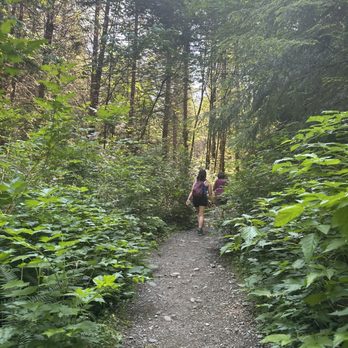 Mount Teneriffe Trail - Up we go. - Hiking Near Me