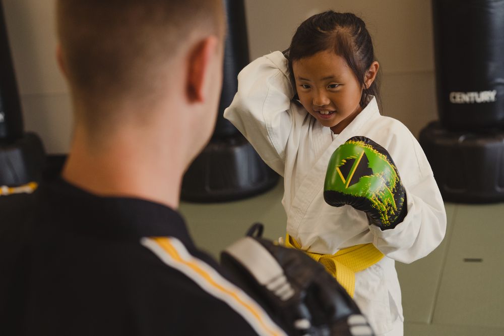 PREMIER MARTIAL ARTS ANTHEM SEVEN HILLS 2505 Anthem Village Dr