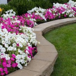 Stoney Creek Landscaping Management