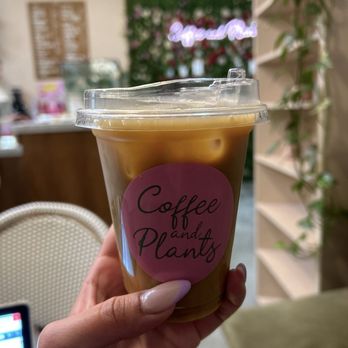 Coffee and Plants - Coffee & Tea Near Me - Pasadena, California Coffee and Plants - Coffee & Tea Near Me - Pasadena, California