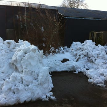 Beech Grove Nursery - Snow 2013 - Nurseries & Gardening Near Me - Newtownabbey, NTA