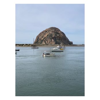 Goddess Goods - Vegan Near Me - Morro Bay, California Goddess Goods - Vegan Near Me - Morro Bay, California
