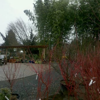 Todd's Nursery & Landscaping - Nurseries & Gardening Near Me - Puyallup, Washington Todd's Nursery & Landscaping - Nurseries & Gardening Near Me - Puyallup, Washington