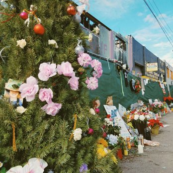 La Vie en Rose - Florists Near Me - Albany, California