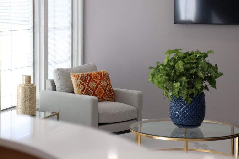 ACCESS DENTAL BRIDGEWATER Updated March 2024 155 Union Ave