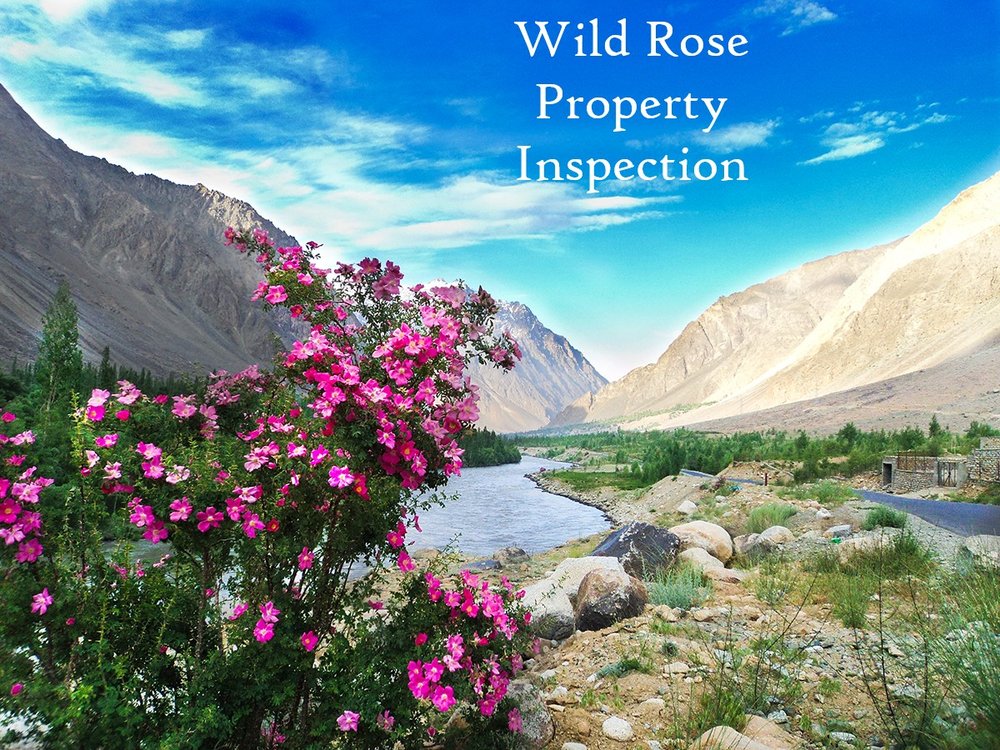Wild Rose Property Inspection