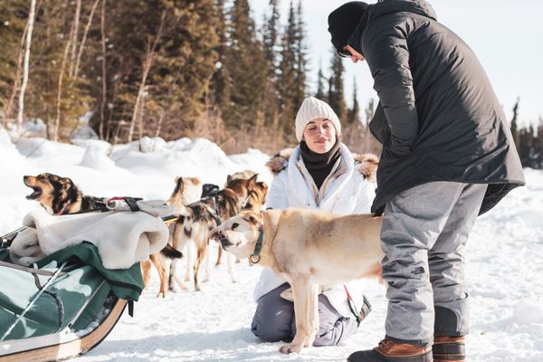Last Frontier Mushing Co-op by null