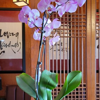 Present Restaurant - More orchids - Vietnamese Near Me - Falls Church, Virginia